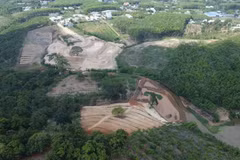 Ông Bùi Ngọc Hoàn đã có hành vi đắp đất lấn sang khu vực suối do Nhà nước quản lý, nhằm tạo ao chứa nước tưới tại thửa đất số 142, tờ bản đồ số 11, thuộc thôn Phú Vinh, xã Phú Riềng, với diện tích 3.975m². (Ảnh: Đậu Tất Thành/TTXVN)
