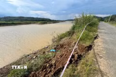 Tình trạng sạt lờ bờ sông Krông Nô đang rất nghiêm trọng, nhiều đoạn đã sạt vào tới mặt đường nhựa, Ủy ban Nhân dân xã Nam Ka đã rào chắn và gắn biển cảnh báo, cấm xe 4 bánh đi qua những đoạn đường nguy hiểm men theo bờ sông. (Ảnh: Kha Phạm/TTXVN)