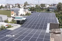 Hiện toàn tỉnh Cà Mau có 3.303 hệ thống điện mặt trời, tổng công suất 342,997MWp. (Ảnh: Tuấn Phi/TTXVN)