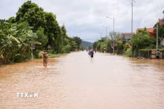 Phường Phượng Sơn, tỉnh Bắc Ninh nước dâng cao ngập nhiều tuyến đường, hàng nghìn hộ dân. (Ảnh: Thái Hùng/TTXVN)
