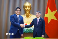 Thủ tướng Lê Minh Hưng tiếp ông Tan Sri Tengku Muhammad Taufik, Chủ tịch kiêm Tổng Giám đốc Tập đoàn Dầu khí Quốc gia Malaysia (PETRONAS). (Ảnh: Dương Giang/TTXVN)