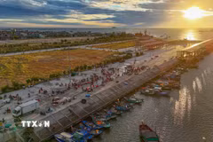 Nhịp sống sôi động tại cảng cá Cửa Nhượng lúc bình minh. (Ảnh: Hữu Quyết/TTXVN)