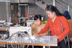 Bà Nguyễn Thị Hòa, chủ xưởng may gia công tại xã Yên Khánh (Ninh Bình) là một người khuyết tật. Hàng chục năm hoạt động, xưởng may của bà đã đào tạo cho hàng nghìn công nhân may, trong đó có khoảng 500 người khuyết tật. (Ảnh: Ninh Đức Phương/TTXVN)