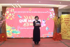 Trung Quốc: Thắm tình xuân quê hương tại Hong Kong
