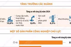 Chỉ số sản xuất toàn ngành công nghiệp trong 11 tháng năm 2025 tăng 9,3%