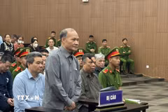 Cựu Thứ trưởng Bộ Nông nghiệp và Phát triển Nông thôn Hoàng Văn Thắng tại phiên tòa. (Ảnh: Kim Anh/TTXVN)