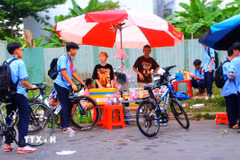 (Ảnh minh họa. Hương Giang/TTXVN)
