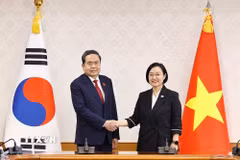 Chủ tịch Quốc hội Trần Thanh Mẫn hội kiến Thủ tướng Hàn Quốc Han Seong-sook. (Ảnh: Doãn Tấn/TTXVN)