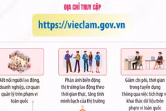 Sàn giao dịch việc làm QG: Thúc đẩy kết nối cung-cầu lao động trên môi trường số