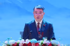 Thủ tướng dự phiên khai mạc Diễn đàn hợp tác địa phương Việt Nam-Nhật Bản 2026 