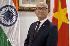 Đại sứ Việt Nam được bổ nhiệm tại Ấn Độ kiêm nhiệm Nepal và Bhutan Trịnh Minh Mạnh. (Ảnh: TTXVN phát)