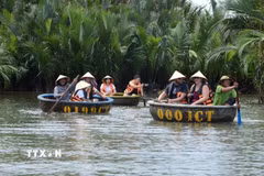 Du khách đến tham quan rừng dừa Bảy Mẫu, phường Hội An Đông, Đà Nẵng. (Ảnh: Hải Âu/TTXVN)