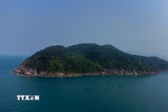 Toàn cảnh đảo Sơn Trà (thành phố Đà Nẵng) từ trên cao. (Ảnh: TTXVN phát)