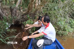 Du khách trải nghiệm đặt lờ tại Khu du lịch Tràm Chim mùa nước nổi. (Ảnh: Hồng Thái/TTXVN)