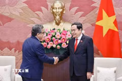 Chủ tịch Quốc hội Trần Thanh Mẫn tiếp Đại sứ đặc mệnh toàn quyền Nhà nước Palestine tại Việt Nam Saadi Salama. (Ảnh: Doãn Tấn/TTXVN)