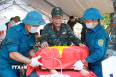 Lực lượng chức năng di chuyển hài cốt liệt sỹ chưa xác định danh tính tại Nghĩa trang liệt sỹ Chiến dịch Trần Hưng Đạo phục vụ lấy mẫu ADN. (Ảnh: Nguyễn Thảo/TTXVN)