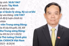 Quá trình công tác của Bí thư TW Đảng, Trưởng Ban Kinh tế TW Trần Lưu Quang 
