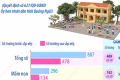 Phương án tổng thể sắp xếp các cơ sở giáo dục công lập tại Quảng Ngãi 