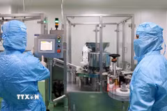 Nghiên cứu viên tại Viện Vắcxin và Sinh phẩm Y tế - Bộ Y tế (trụ sở tại tỉnh Khánh Hòa) nghiên cứu, sản xuất vaccine. (Ảnh: Xuân Triệu/TTXVN)
