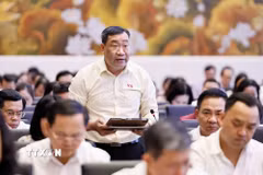 Đại biểu Quốc hội tỉnh Vĩnh Long Thạch Phước Bình phát biểu. (Ảnh: Doãn Tấn/TTXVN)