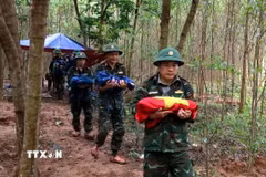Từ đầu tháng 9 đến nay, tại khu vực rừng tràm thuộc bản Bãi Dinh, xã Dân Hóa (tỉnh Quảng Trị), lực lượng chức năng đã tìm thấy, cất bốc 8 hài cốt liệt sỹ. (Ảnh minh họa: Võ Dung/ TTXVN)