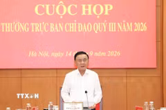 Đồng chí Trần Cẩm Tú, Ủy viên Bộ Chính trị, Thường trực Ban Bí thư, Trưởng Ban Chỉ đạo 35 Trung ương phát biểu chỉ đạo cuộc họp. (Ảnh: Phương Hoa/TTXVN)