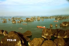 Vịnh Bái Tử Long với hàng nghìn hòn đảo lớn, nhỏ trong sắc xanh của biển, sắc vàng của nắng tạo nên khung cảnh "sơn thủy hữu tình" đầy kỳ thú. (Ảnh: Phạm Hậu/TTXVN)