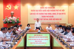 Tổng Bí thư, Chủ tịch nước Tô Lâm chủ trì buổi làm việc. (Ảnh: Văn Điệp/TTXVN)