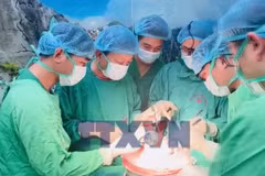 6 tuần, 5 lá phổi mới: Kỳ tích hồi sinh sự sống 