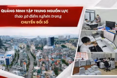 Quảng Ninh tập trung nguồn lực, tháo gỡ điểm nghẽn trong chuyển đổi số