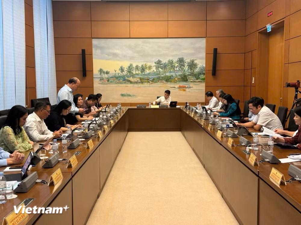 vnp-doan-hai-phong.jpg