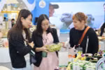 Khách tham quan Hội chợ mùa Thu. (Nguồn: Vietnam+)