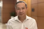 Ông Phan Đức Hiếu, Ủy viên Thường trực Ủy ban Kinh tế của Quốc hội, trả lời phỏng vấn của TTXVN. (Ảnh: Hải Ngọc/TTXVN)