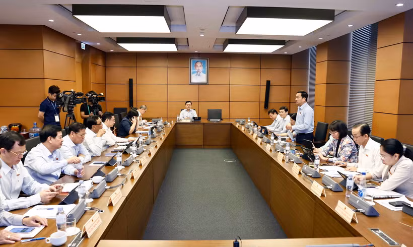 Đoàn đại biểu Quốc hội Thành phố Hồ Chí Minh thảo luận ở tổ. (Ảnh: Doãn Tấn/ TTXVN)