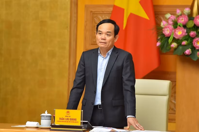 Phó Thủ tướng Chính phủ Trần Lưu Quang. (Ảnh: TTXVN phát)