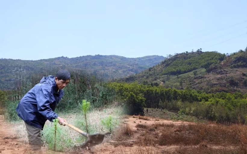 Ảnh minh họa. (Nguồn ảnh: Hùng Võ/Vietnam+)