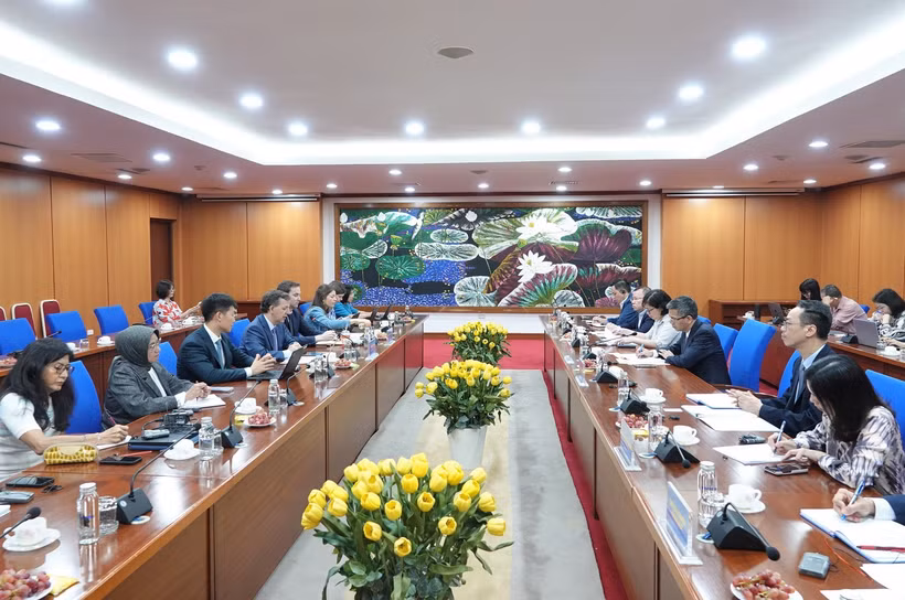 Thứ trưởng Bộ Tài chính Võ Thành Hưng đã có buổi tiếp và làm việc với ông Paulo Medas, Trưởng Đoàn tham vấn Điều khoản IV của Quỹ Tiền tệ quốc tế, ngày 26/6. (Ảnh: BTC/Vietnam+)