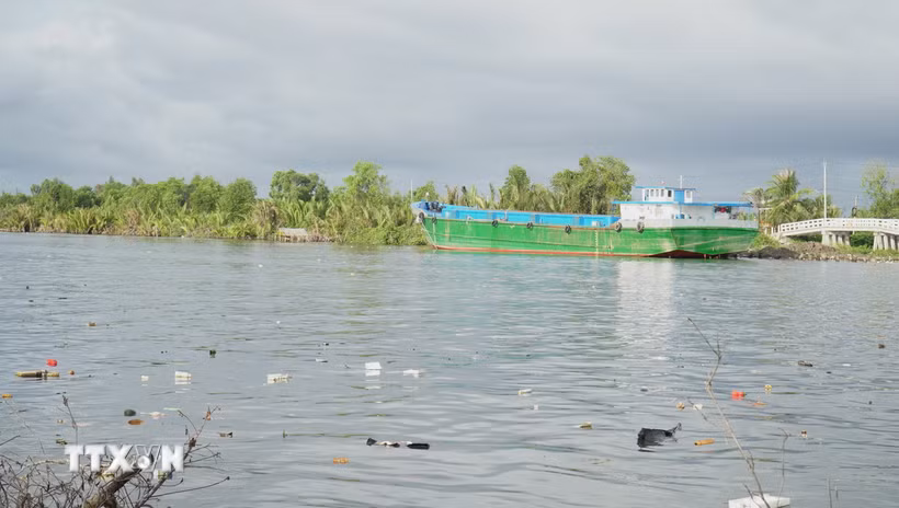 (Ảnh minh họa: TTXVN)