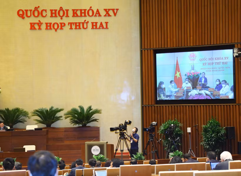 Đại biểu Quốc hội tỉnh Bình Định phát biểu trực tuyến. Ảnh: Văn Điệp/TTXVN)
