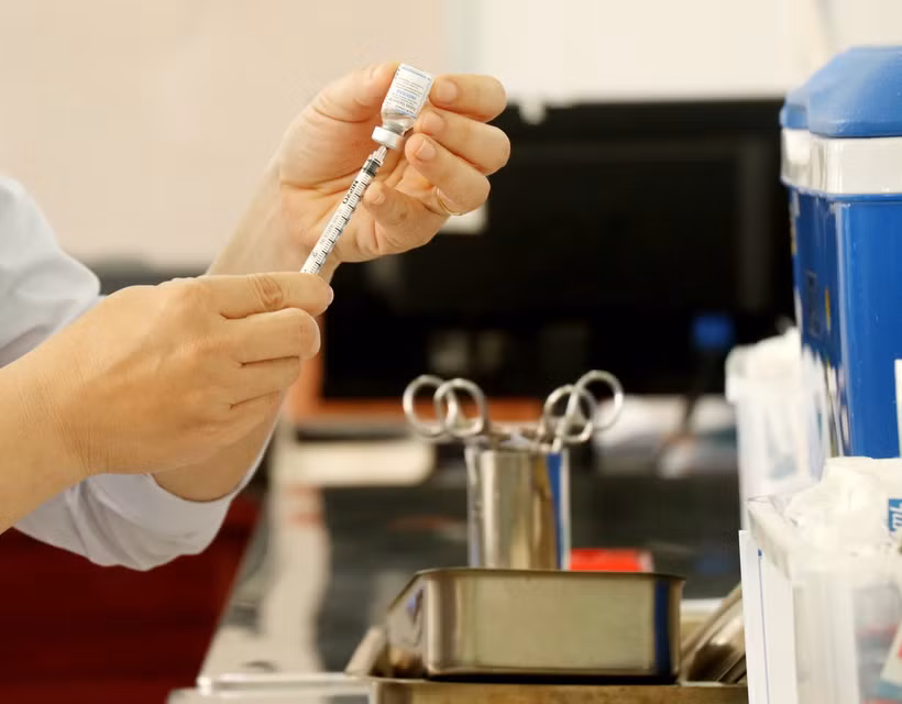 Ngành chức năng khuyến cáo người bị chó, mèo cắn nên đi tiêm ngừa bệnh dại sớm đúng lịch và đầy đủ. (Ảnh: Thu Hiền/TTXVN)