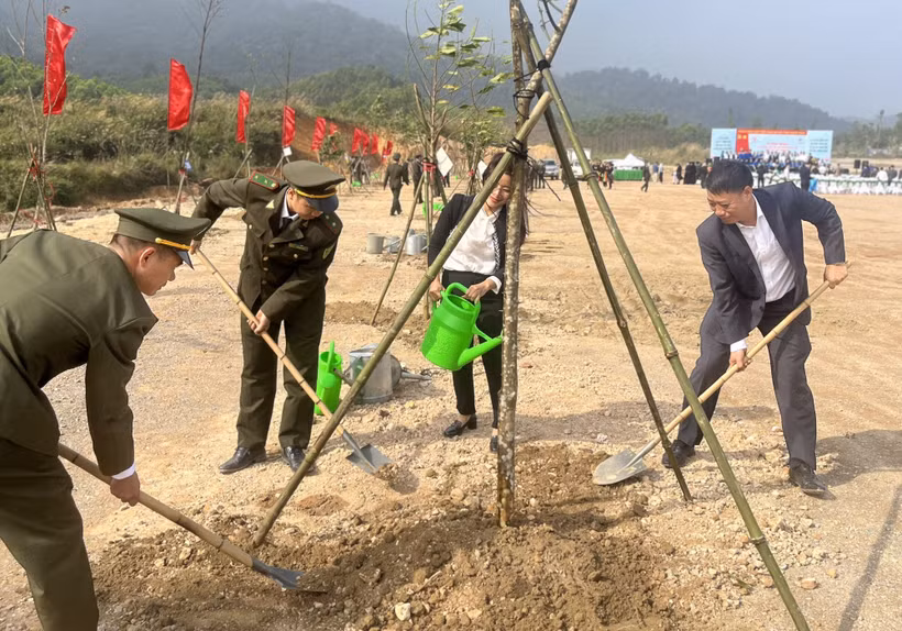 Các đại biểu tham gia trồng cây. (Ảnh: PV/Vietnam+)