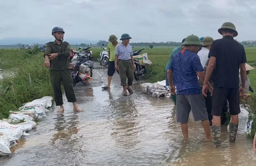 Lực lượng chức năng cùng người dân xã Xuân Giang (Sóc Sơn, Hà Nội) đắp bờ chống lũ tràn từ sông Cầu, bảo vệ lúa, hoa màu. (Ảnh: TTXVN phát)