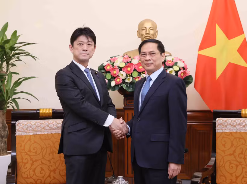 Bộ trưởng Ngoại giao Bùi Thanh Sơn tiếp Hạ nghị sỹ, Thứ trưởng Ngoại giao Nhật Bản Komuru Masahiro. (Ảnh: An Đăng/TTXVN)