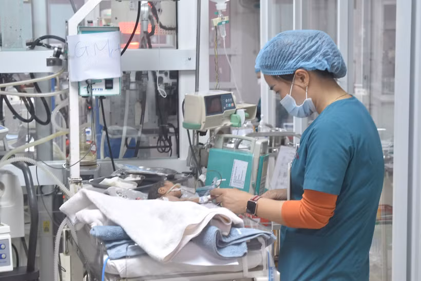 Y, bác sỹ, nhân viên y tế miệt mài, ngày đêm chăm sóc, điều trị cho những bệnh nhi sơ sinh được mạnh khỏe. (Ảnh: Nguyên Dung/TTXVN)