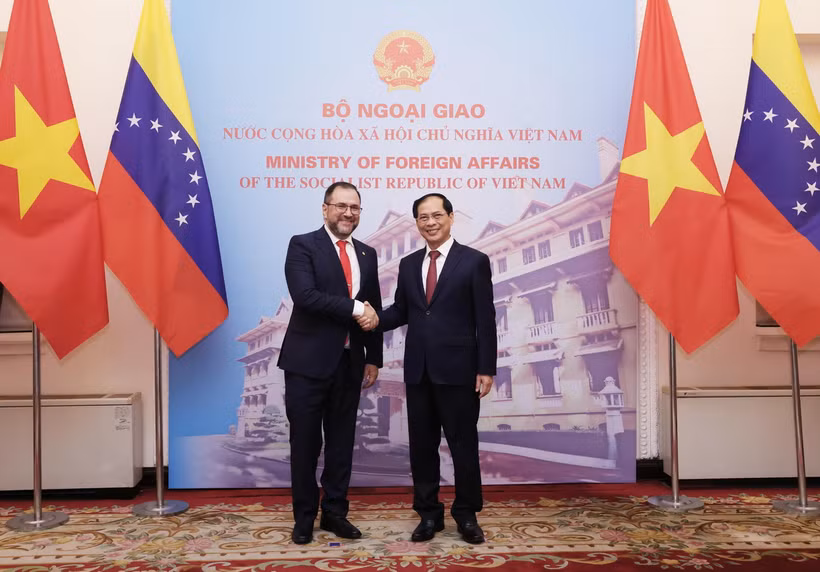 Bộ trưởng Ngoại giao Bùi Thanh Sơn với Bộ trưởng Ngoại giao Cộng hòa Bolivar Venezuela Yvan Gil Pinto. (Ảnh: Lâm Khánh/TTXVN)