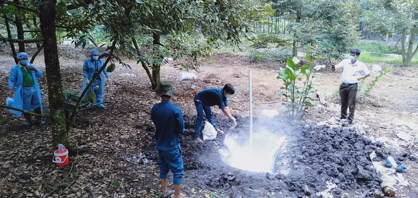 Cơ quan chức năng tiến hành tiêu độc, khử trùng nơi ổ dịch. (Ảnh: Đậu Tất Thành/TTXVN)
