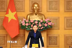 Phó Thủ tướng Trần Hồng Hà phát biểu chỉ đạo. (Ảnh: Tuấn Anh/TTXVN)