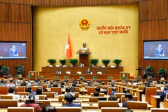 Quốc hội làm việc tại hội trường. (Ảnh: Doãn Tấn/TTXVN)
