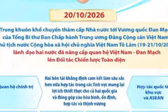 Việt Nam-Đan Mạch nâng cấp quan hệ lên Đối tác Chiến lược Toàn diện