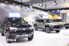 Ôtô năng lượng mới của hãng Dongfeng (Trung Quốc). (Ảnh: Công Tuyên/TTXVN)